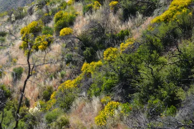 DSC_7317 (Large).JPG